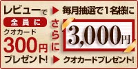 レビューを書いて商品券ゲット