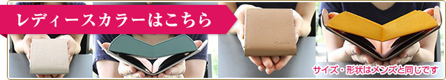 レディースカラーはこちら