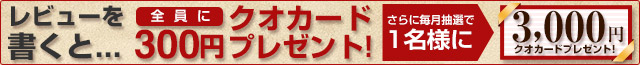 レビューを書いてプレゼントゲット