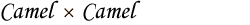 Camel